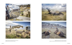 Alternative view 6 of Bi-Polar: Photographs from an Unquiet Mind