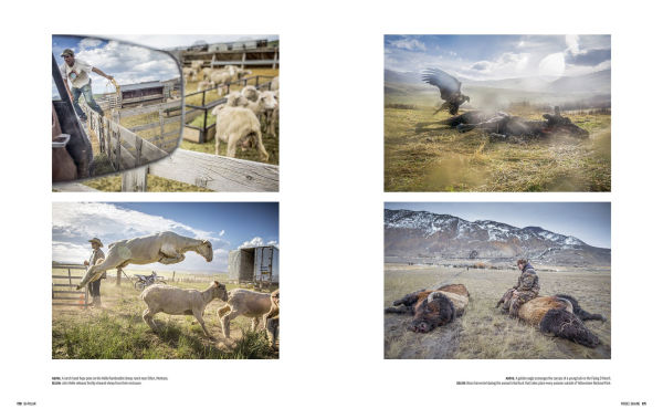 Bi-Polar: Photographs from an Unquiet Mind