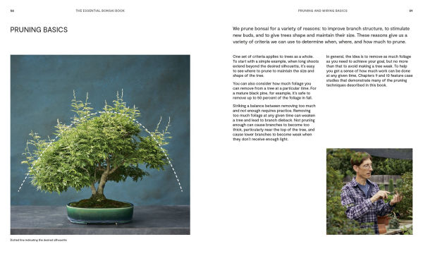 The Essential Bonsai Book: Techniques for Creating Beautiful Trees