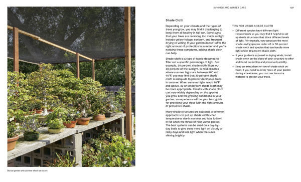 The Essential Bonsai Book: Techniques for Creating Beautiful Trees