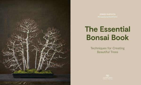 The Essential Bonsai Book: Techniques for Creating Beautiful Trees