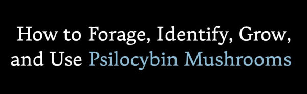 Psilocybin Mushrooms Their Natural Habitats: A Guide to the History, Identification, and Use of Psychoactive Fungi