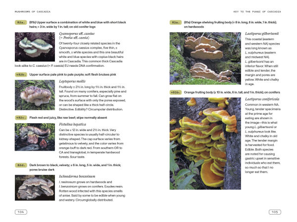 Mushrooms of Cascadia, Second Edition: An Illustrated Key to the Fungi Pacific Northwest