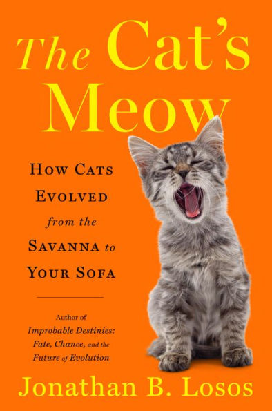 The Cat's Meow: How Cats Evolved from the Savanna to Your Sofa