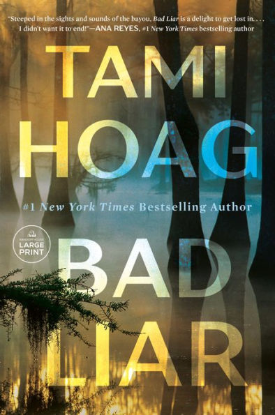 Bad Liar: A Novel