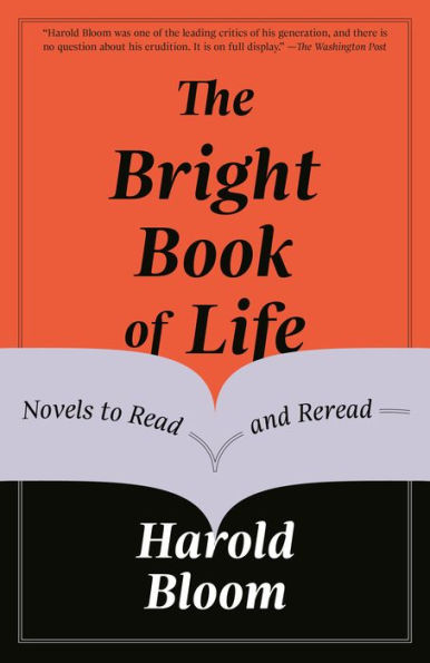 The Bright Book of Life: Novels to Read and Reread