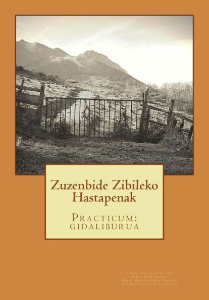 Zuzenbide Zibileko Hastapenak: Practicum: gidaliburua