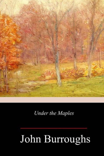 Under the Maples