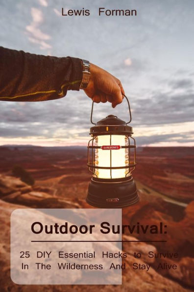 Outdoor Survival: 25 DIY Essential Hacks To Survive In The Wilderness And Stay Alive: (Survival Guide, Outdoor Survival Skills, How To Survive)