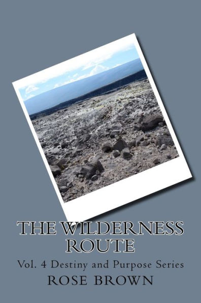 The Wilderness Route: Vol. 4 Destiny and Purpose Series