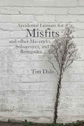 Misfits Accidental Lessons For Misfits And Other Mavericks