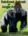 Rainforest Animals and Jungle Animals - Easy to Read Large Print Dot-to-Dot: Puzzles From 150 to 600 Dots