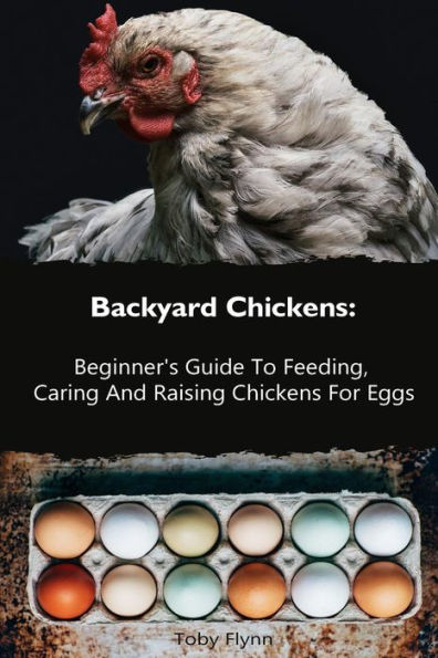 Backyard Chickens: Beginner's Guide To Feeding, Caring And Raising Chickens For Eggs: (How To Keep Chickens, Raising Chickens For Dummies, Backyard Chickens)