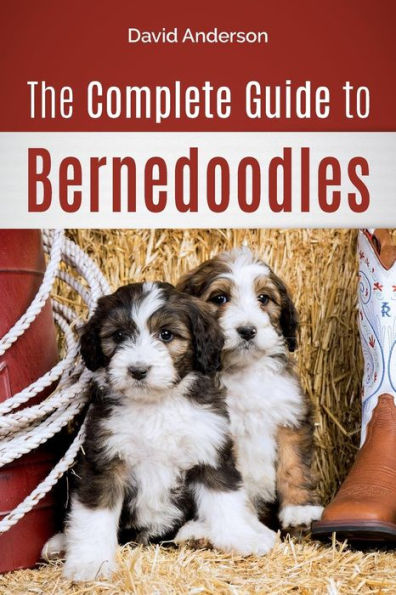 The Complete Guide to Bernedoodles: Everything you need know successfully raise your Bernedoodle puppy!