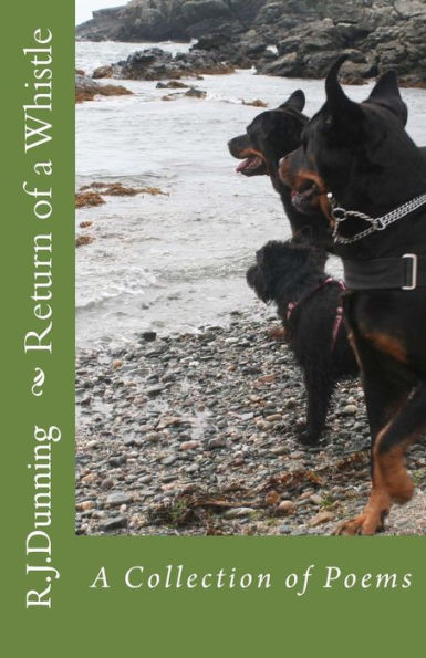 Return of a Whistle
