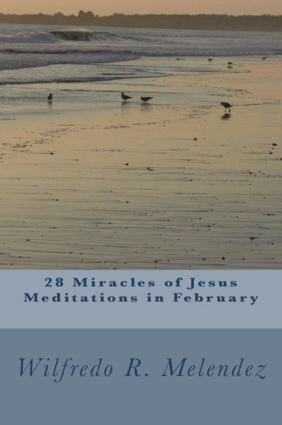 28 Miracles of Jesus - Meditations in February: Devotional
