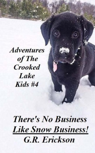 Adventures of The Crooked Lake Kids #4 - There's No Business Like Snow Business!