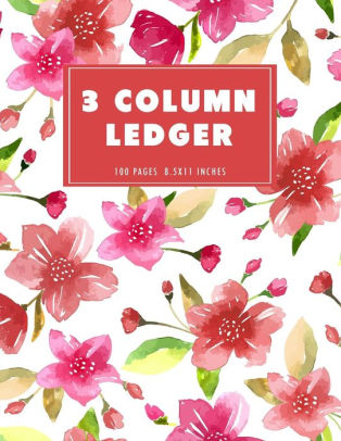 How to use 3 column account book