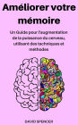 Améliorer votre mémoire: Un Guide pour l'augmentation de la puissance du cerveau, utilisant des techniques et méthodes (