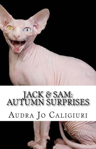 Jack & Sam: Autumn Surprises