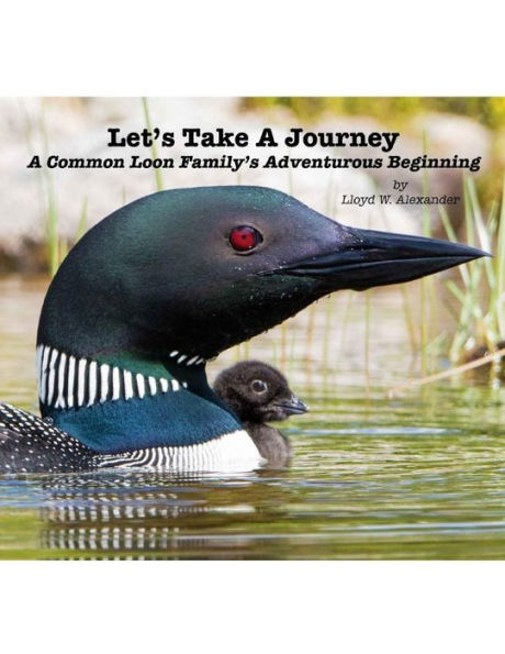Let's Take A Journey: A Common Loon Family's Adventurous Beginning