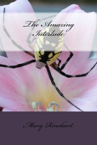 Title: The Amazing Interlude, Author: Mary Roberts Rinehart