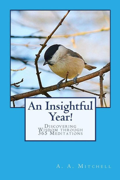 An Insightful Year!: Discovering Wisdom through 365 Meditations