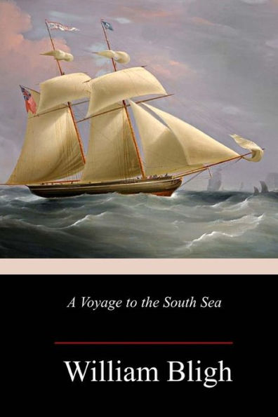 A Voyage to the South Sea