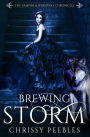 Brewing Storm - Book 5