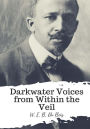 Darkwater Voices from Within the Veil