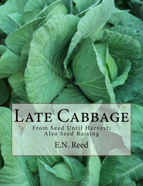 Late Cabbage: From Seed Until Harvest; Also Seed Raising