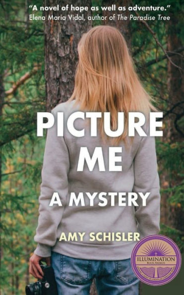 Picture Me, A Mystery