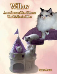 Title: Willow A mother and her kittens: The birth of a litter:, Author: Laura Oravec