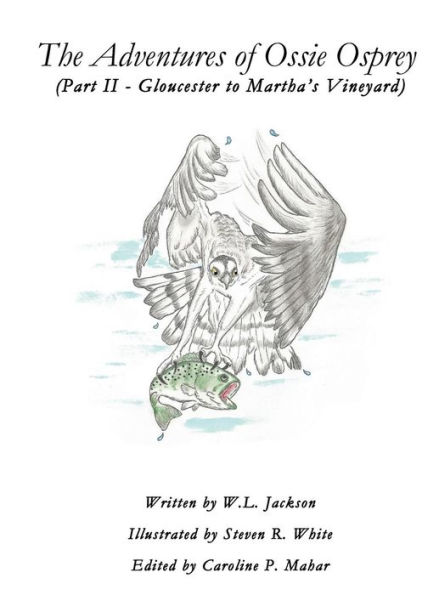 The Adventures of Ossie Osprey - (Part II - Gloucester to Martha's Vineyard)
