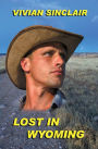 Lost In Wyoming