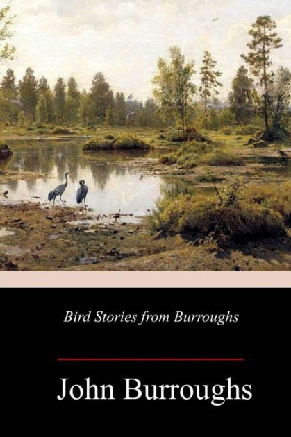 Bird Stories from Burroughs by John Burroughs, Paperback | Barnes & Noble®