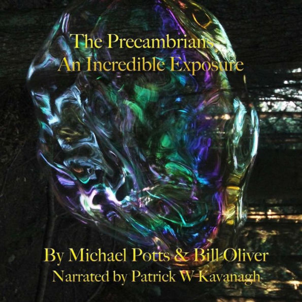 The Precambrians: An Incredible Exposure