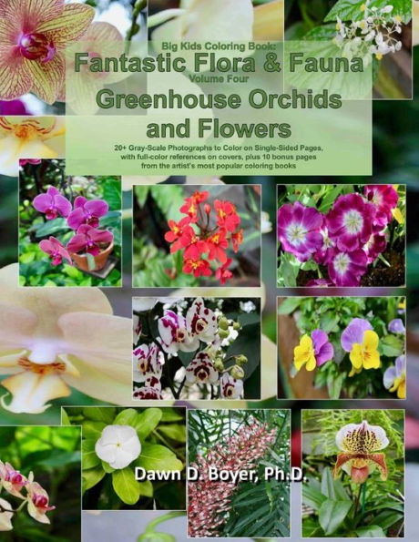 Big Kids Coloring Book: Fantastic Flora and Fauna: Volume Four - Greenhouse Orchids and Flowers