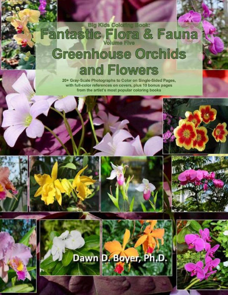 Big Kids Coloring Book: Fantastic Flora and Fauna: Volume Five - Greenhouse Orchids and Flowers