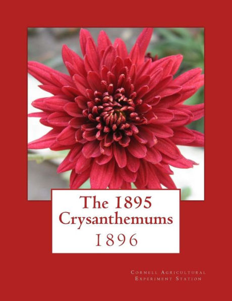 The 1895 Crysanthemums: 1896
