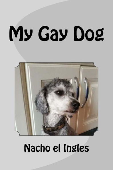 My Gay Dog