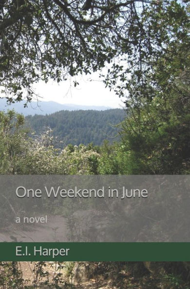 One Weekend in June: a novel