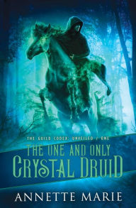 Free download of it books The One and Only Crystal Druid 9781988153599 by  