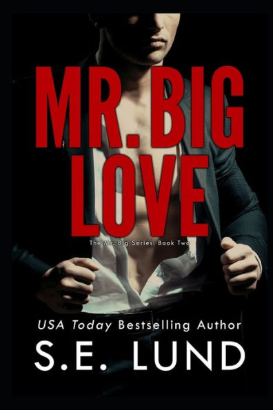 Mr. Big Love (The Series, #2)