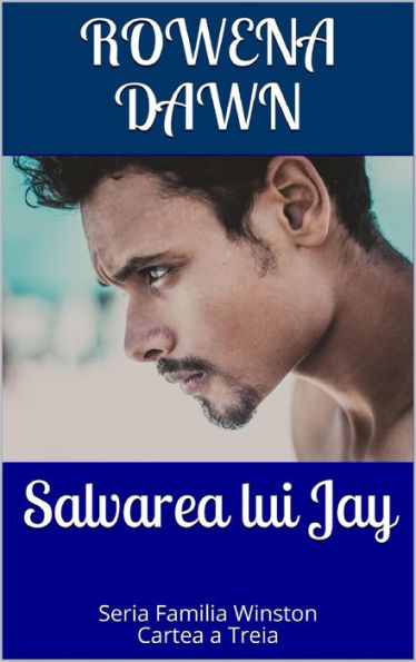 Salvarea lui Jay: Cartea a Treia din Seria Familia Winston