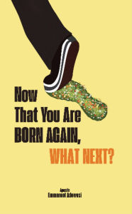 Download full books from google books Now That You Are Born Again, What Next?  (English literature) 9781989099643