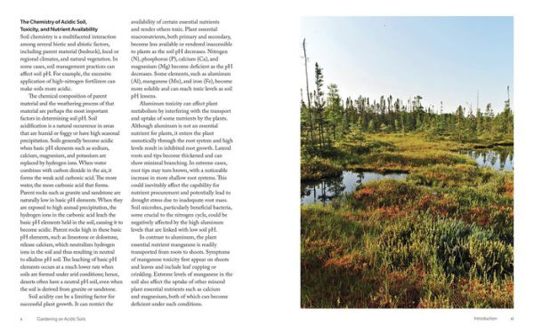 Gardening for Acidic Soils: Working with Nature to Create a Beautiful Landscape