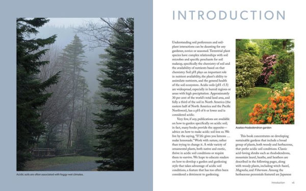 Gardening for Acidic Soils: Working with Nature to Create a Beautiful Landscape
