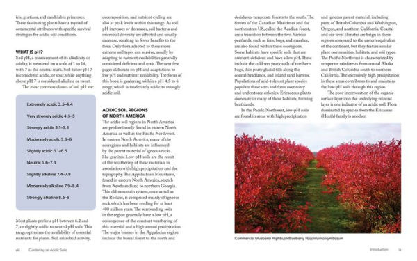 Gardening for Acidic Soils: Working with Nature to Create a Beautiful Landscape