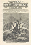 Alternative view 2 of Devilfish: When Giant Squid Ruled the Northern Sea